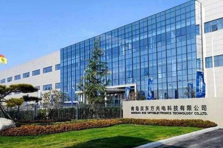 周耀东,公司经营范围包括:一般项目:显示器件制造;显示器件
